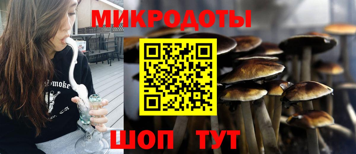 Псилоцибиновые грибы прущие грибы Кстово